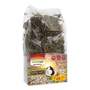 Nature Land Botanical - Herbs with Yellow Flowers