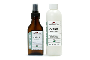 Catnip Hydrosol Organic