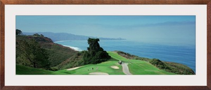 Golf course at the coast Torrey Pines Golf Course San Diego California