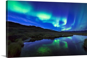 Aurora borealis over a pond in Denali National Park and Preserve, Alaska