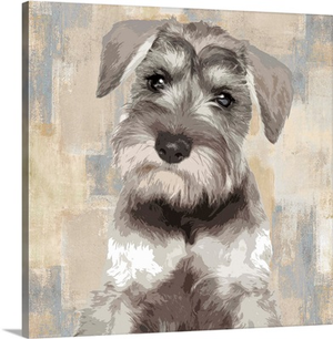 Miniature Schnauzer