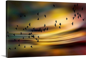 The Birds