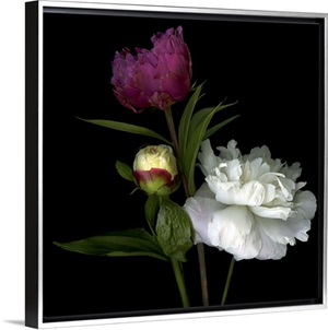 Peony Mix
