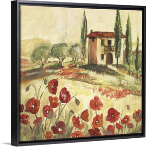 Poppy Field I