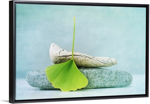 Wood, Stone And A Gingko Leaf