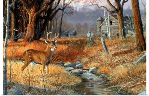 Forgotten Valley