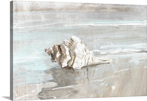 Washed Ashore I