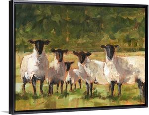 Sheep Family II