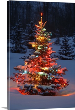 Christmas Tree With Lights Outdoors In The Forest