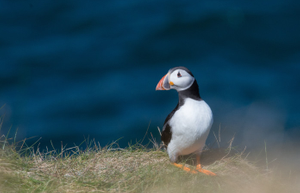 The North East Coastal Trail - 1 day tour