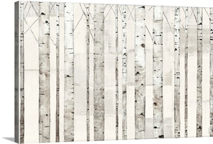 Birch Trees on White
