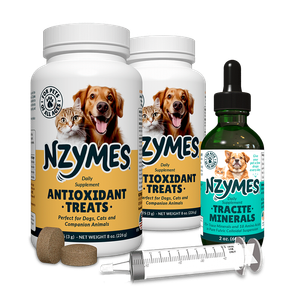 Neurologic Support Kit for Dogs