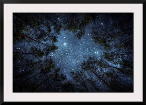 Beautiful Night Sky, The Milky Way, And The Trees