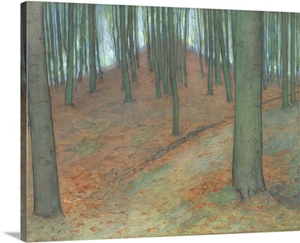 Wood With Beech Trees