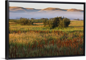 Mist At Sunrise In Frenchman River Valley Of Grasslands National Park, Saskatchewan