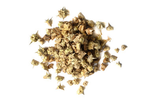 Tribulus Fruit Organic