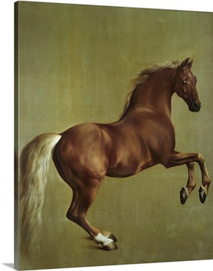 Whistlejacket, 1762