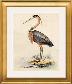 Antique Heron II
