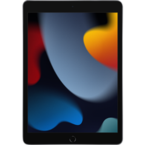 Apple iPad (9th Gen)