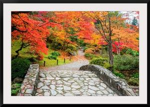 Fall Landscape With Stone Bridge And Walking Path.