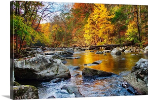 Vibrant Hues Of Autumn, New Jersey