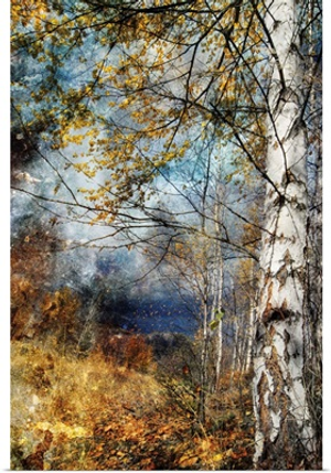 Kootenay Fall