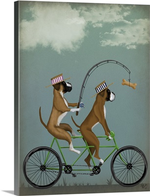 Boxer Tandem