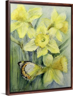 Delias Mysis (Union Jack) Butterfly on Daffodils