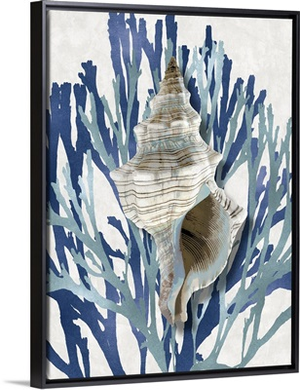 Shell Coral Aqua Blue III
