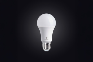 19W Daylight LED Bulb