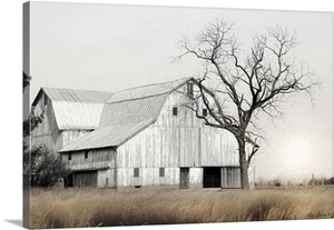 Ohio Fields I