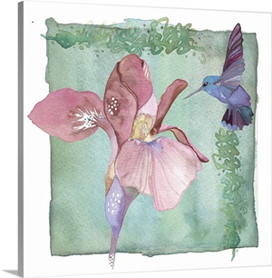 Hummingbird and Flower - Iris