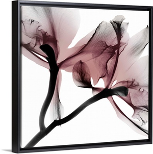 Blushing Luster 1