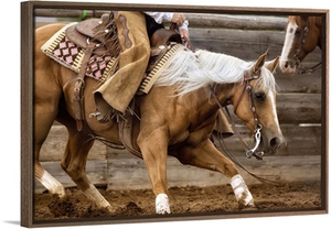 Cutting Horses