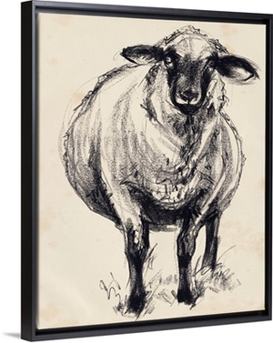 Charcoal Sheep II
