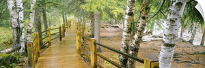 Boardwalk along a river, Gooseberry River, Gooseberry Falls State Park, Minnesota
