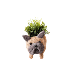 French Bulldog Planter - Coco Coir Pots Likhâ (one size)