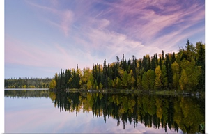 Autumn Colored Foliage, Dickens Lake At Sunset, Saskatchewan, Canada