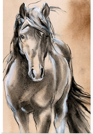 Sketched Horse II