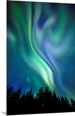 Northern Lights, Tongass National Forest, Near Juneau, Alaska, United States Of America