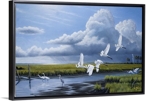 Summer Storm Egrets