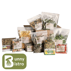 Deluxe Rabbit & Guinea Pig Treat Bundle