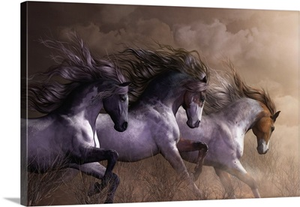 Run To Freedom