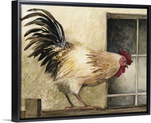 Rooster at Window