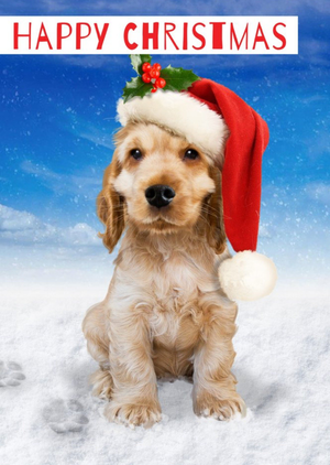 Cute Puppy In Santa Hat Christmas Card