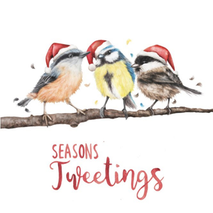 Moonpig Seasons Tweetings Birds Pun Card