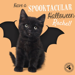 Cute Kitten Personalised Halloween Card