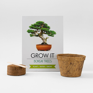 Other Grow It Bonsai Tree Plant