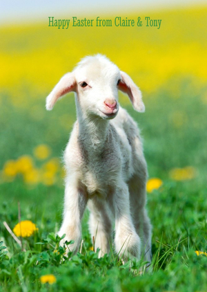 Little Lamb Personalised Happy Birthday Card