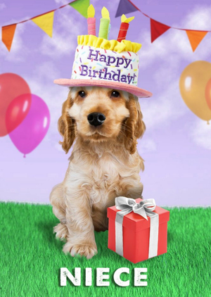 Cute Dog Wearing Birthday Cake Hat Birthday Card